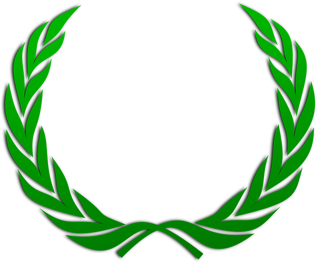 icon doc auszeichnung